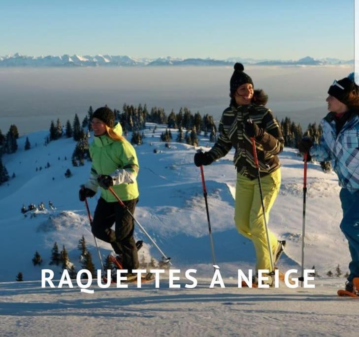 Вилла Gite Jura Mina Chalet Au Milieu De La Nature Ney Экстерьер фото