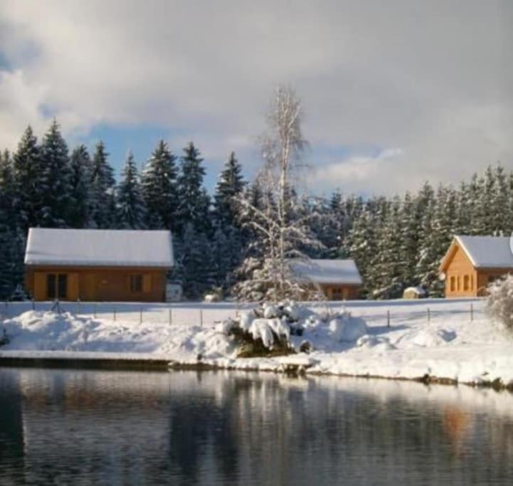 Вилла Gite Jura Mina Chalet Au Milieu De La Nature Ney Экстерьер фото